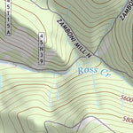 41120NE Page 40 Cedarville Topo Preview 3