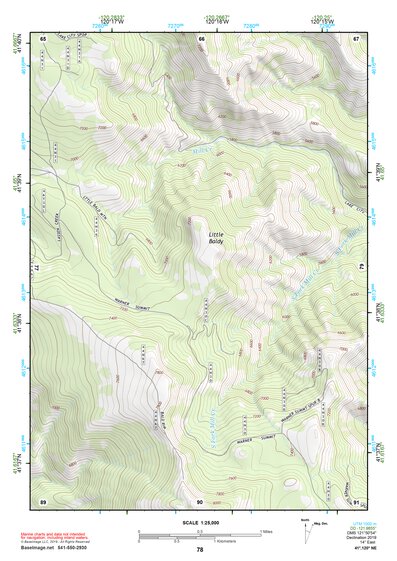 41120NE Page 78 Cedarville Topo Preview 1