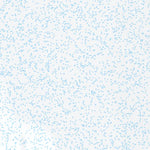 41120SE Page 24 Alturas Topo Preview 2