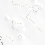 41121NE Page 52 Tule Lake Topo Preview 2