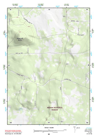 41121NE Page 95 Tule Lake Topo Preview 1
