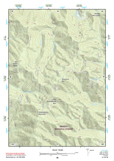 41122SE Page 95 Mount Shasta Topo Preview 1