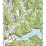 (42074a1) Page 071 Pepacton Reservoir Preview 1