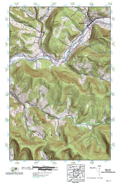 (42074a1) Page 075 Pepacton Reservoir Preview 1