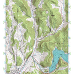 (42075a1) Page 079 Binghamton Preview 1
