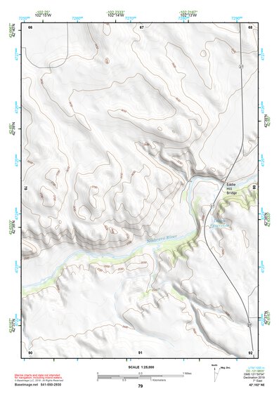 42102NE Page 79 Gordon Topo Preview 1