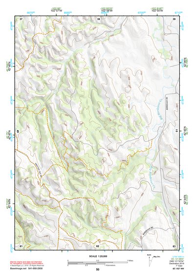 42102NW Page 50 Gordon Topo Preview 1