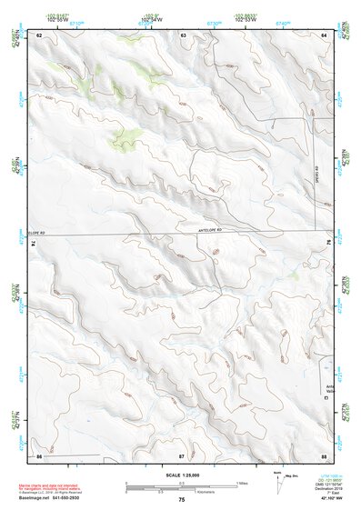 42102NW Page 75 Gordon Topo Preview 1