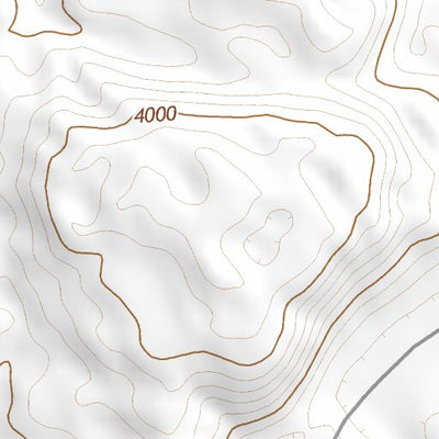 42102SE Page 9 Alliance Topo Preview 3