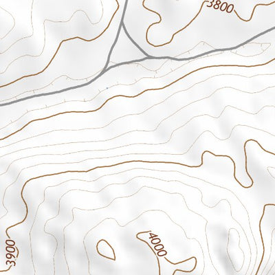 42102SE Page 12 Alliance Topo Preview 3