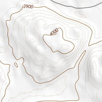 42102SE Page 21 Alliance Topo Preview 2