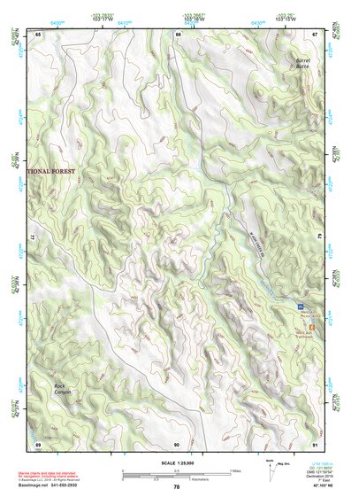 42103NE Page 78 Crawford Topo Preview 1