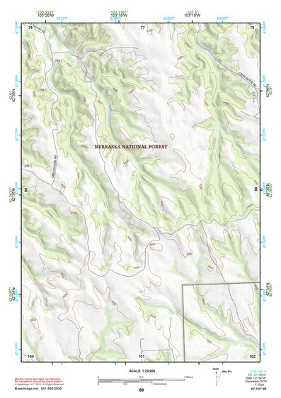 42103NE Page 89 Crawford Topo Preview 1