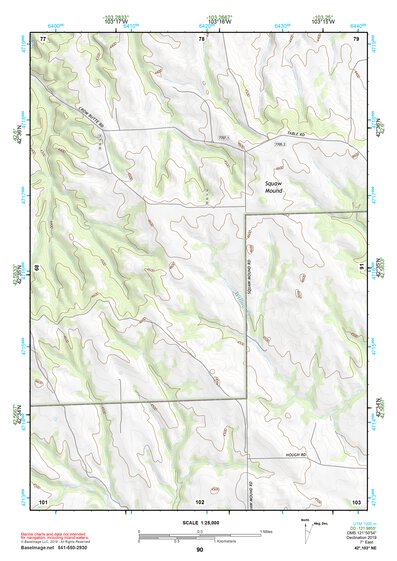 42103NE Page 90 Crawford Topo Preview 1