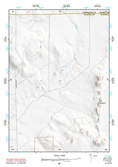 42104NW Page 90 Lusk Topo Preview 1