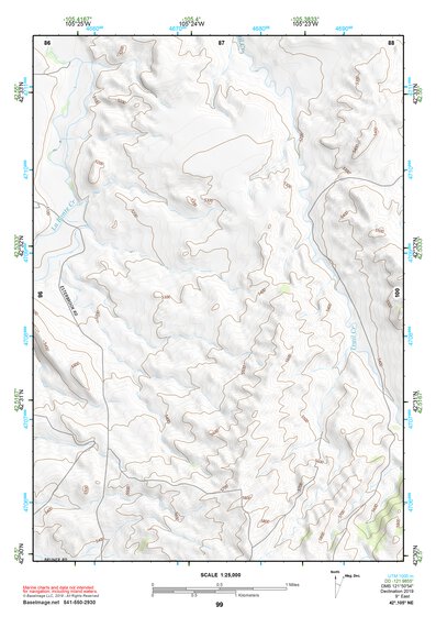 42105NE Page 99 Douglas Topo Preview 1