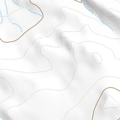 42108SE Page 52 South Pass Topo Preview 2