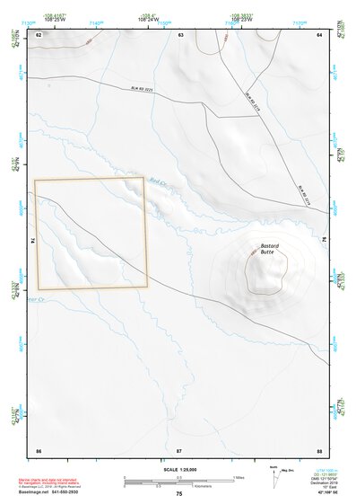 42108SE Page 75 South Pass Topo Preview 1