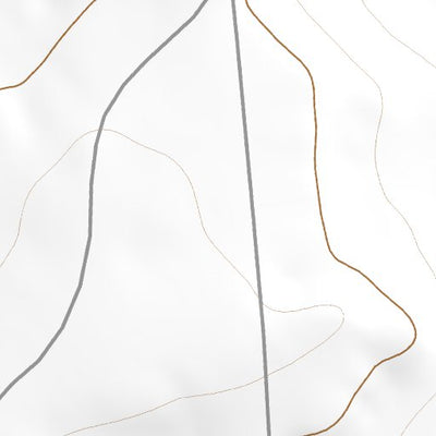 42108SE Page 93 South Pass Topo Preview 2