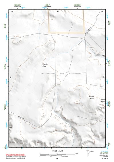 42108SE Page 99 South Pass Topo Preview 1
