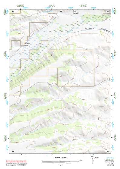 42110NE Page 75 Afton Topo Preview 1