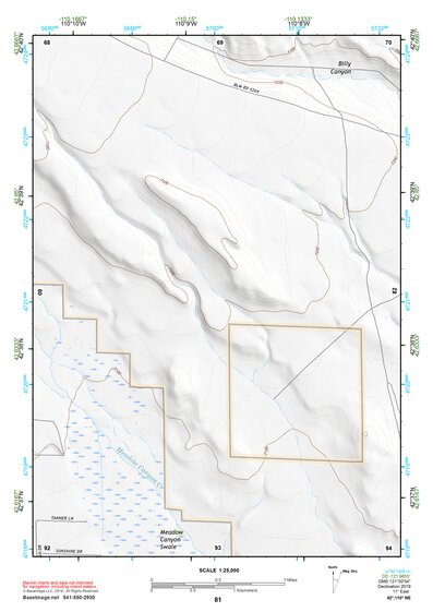 42110NE Page 81 Afton Topo Preview 1