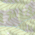 42110NW Page 57 Afton Topo Preview 3