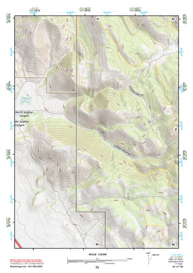 42111NE Page 73 Soda Springs Topo Preview 1