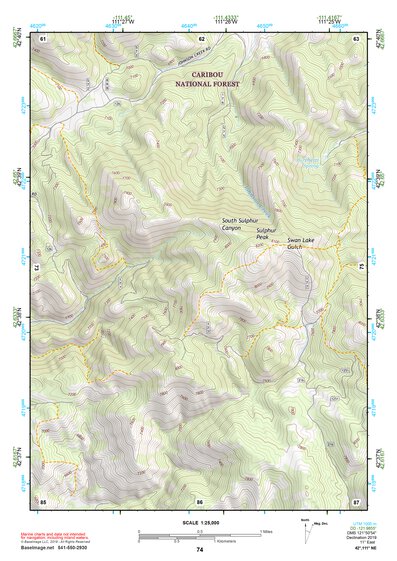 42111NE Page 74 Soda Springs Topo Preview 1