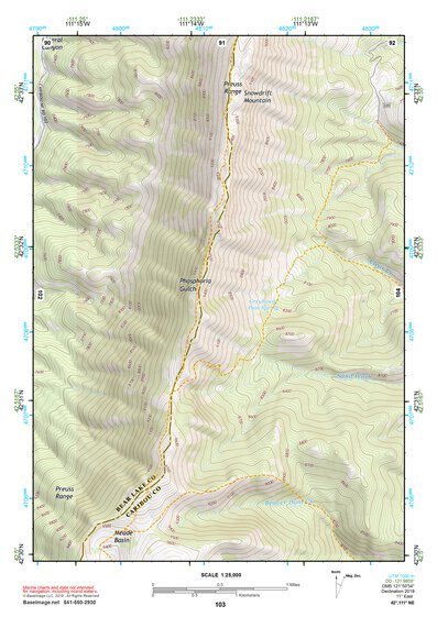 42111NE Page 103 Soda Springs Topo Preview 1