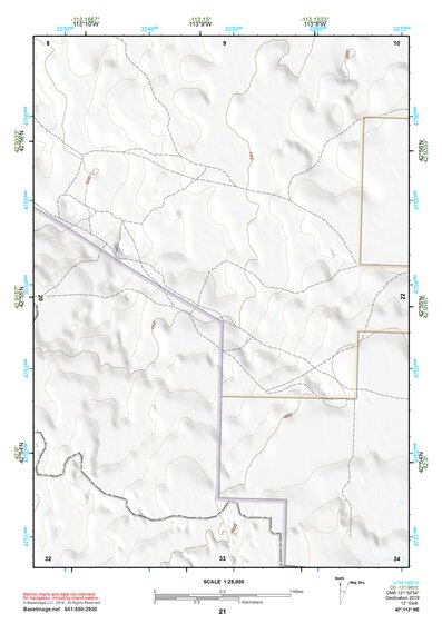 42113NE Page 21 Lake Walcott Topo Preview 1