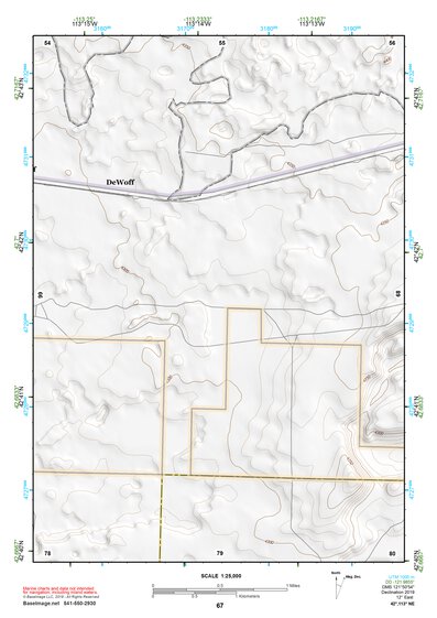 42113NE Page 67 Lake Walcott Topo Preview 1