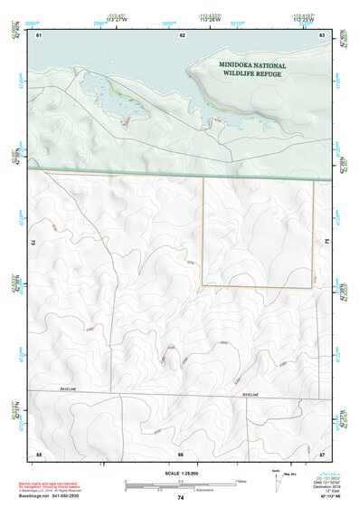 42113NE Page 74 Lake Walcott Topo Preview 1
