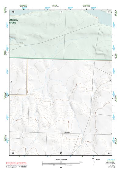 42113NE Page 75 Lake Walcott Topo Preview 1