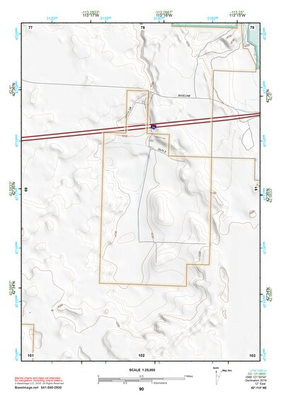 42113NE Page 90 Lake Walcott Topo Preview 1