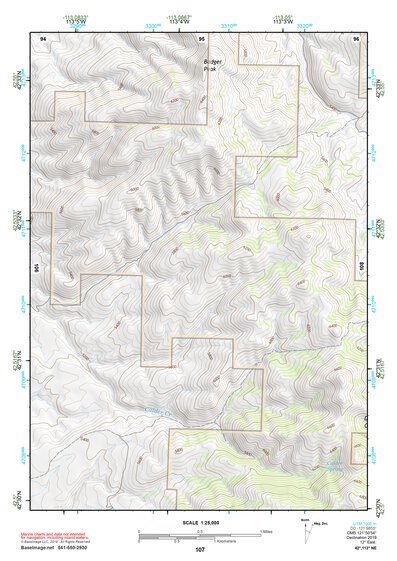 42113NE Page 107 Lake Walcott Topo Preview 1