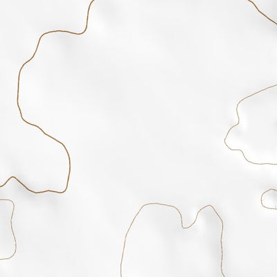 42114NE Page 21 Twin Falls Topo Preview 2