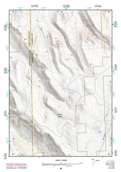 42114SE Page 30 Rogerson Topo Preview 1