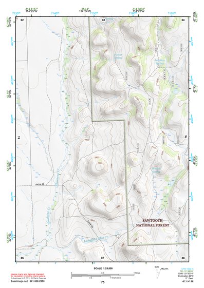 42114SE Page 75 Rogerson Topo Preview 1