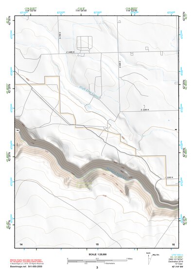42114SW Page 3 Rogerson Topo Preview 1