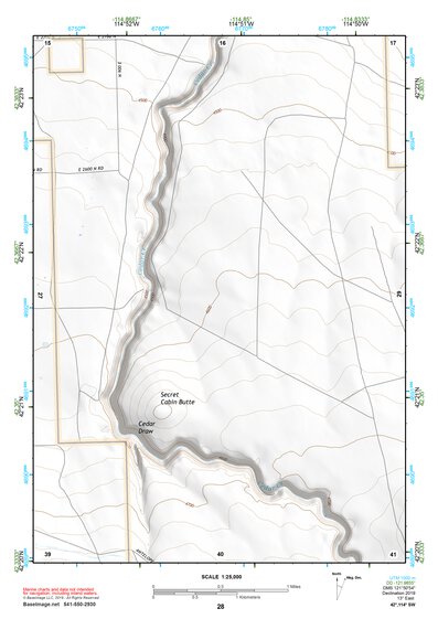 42114SW Page 28 Rogerson Topo Preview 1