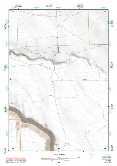 42114SW Page 31 Rogerson Topo Preview 1