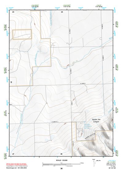 42114SW Page 36 Rogerson Topo Preview 1
