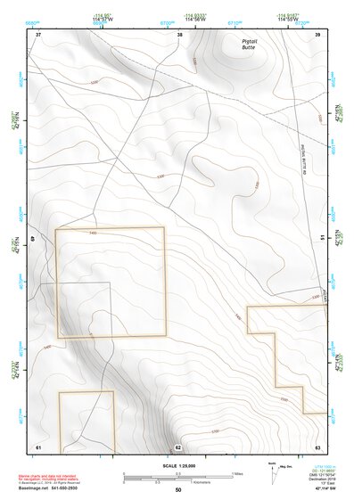 42114SW Page 50 Rogerson Topo Preview 1