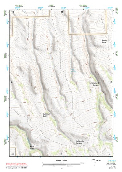 42114SW Page 75 Rogerson Topo Preview 1