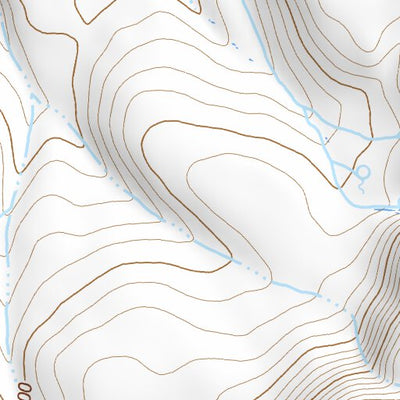 42114SW Page 81 Rogerson Topo Preview 2