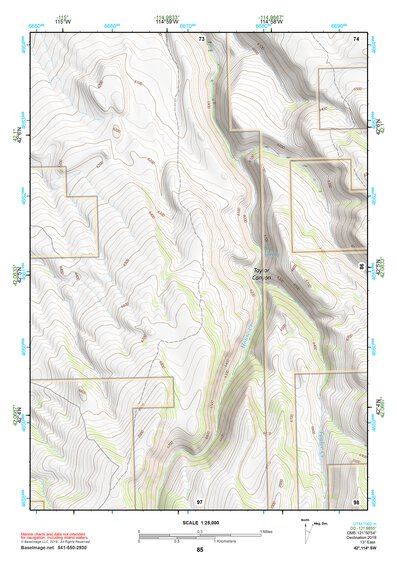 42114SW Page 85 Rogerson Topo Preview 1