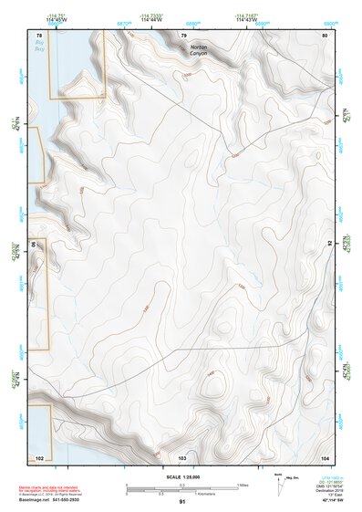 42114SW Page 91 Rogerson Topo Preview 1