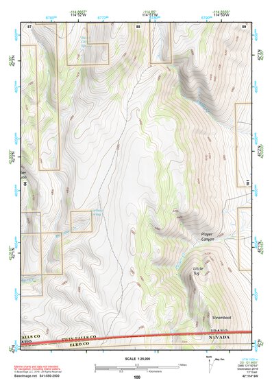 42114SW Page 100 Rogerson Topo Preview 1