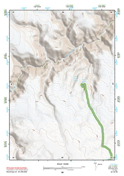 42116NE Page 80 Triangle Topo Preview 1